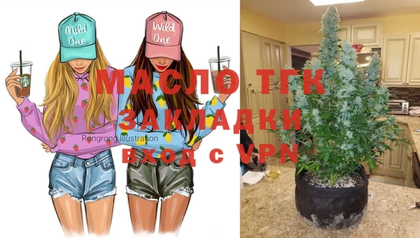 каннабис Корсаков