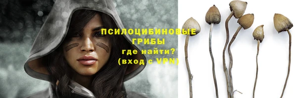 каннабис Корсаков