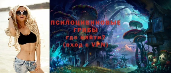 каннабис Корсаков